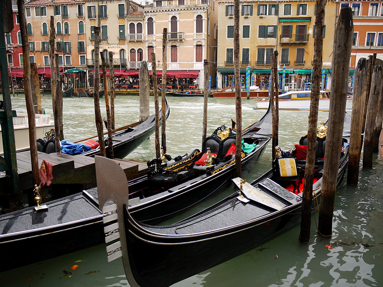 Venice gondolas